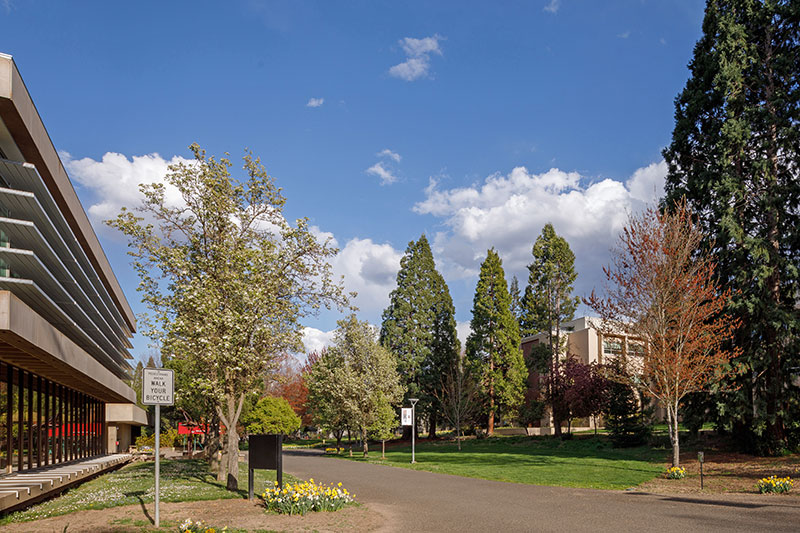 SOU ASSOU Student Legal Services at Southern Oregon University Learn More