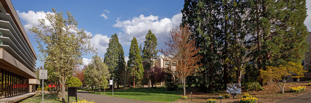 SOU ASSOU Student Legal Services at Southern Oregon University